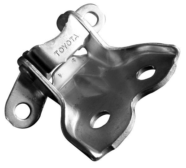 Door Hinge, RF Lower